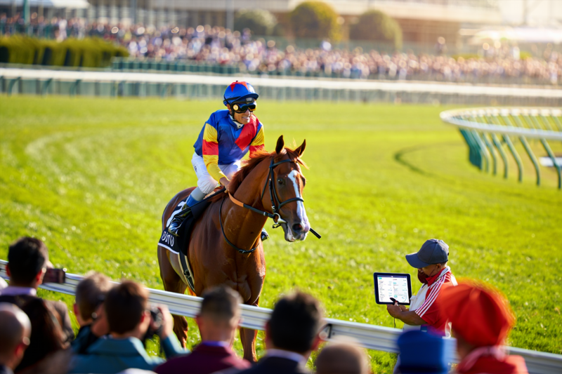 1a480a4000c909bddecad34d7c32517b